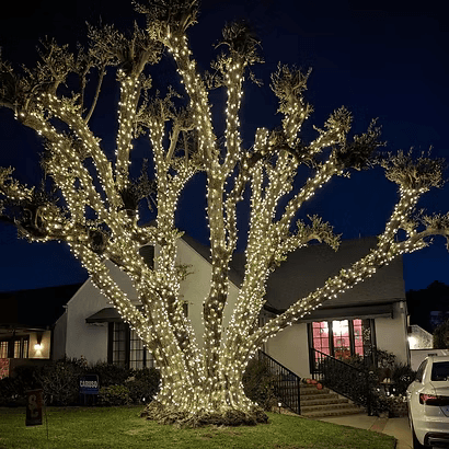 Christmas light installation 10